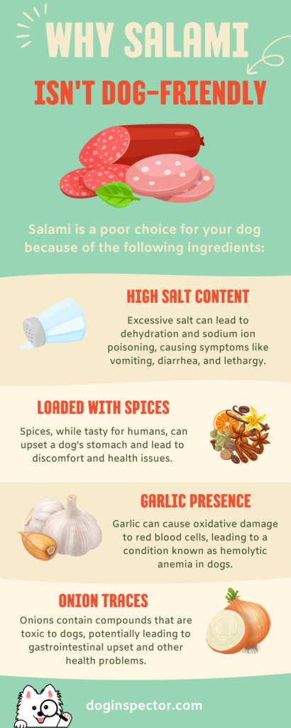 infographic explaining salami ingredients and how they impact dogs nutrition