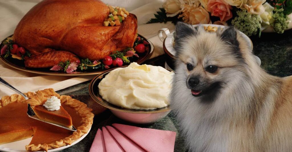 dog safe Christmas foods on a table