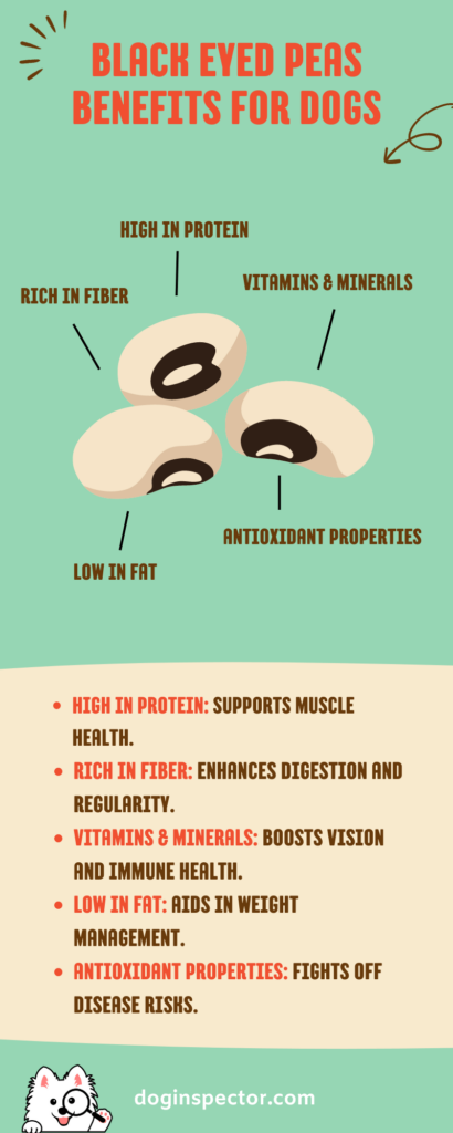 black eyed peas benefits for dogs Infographic