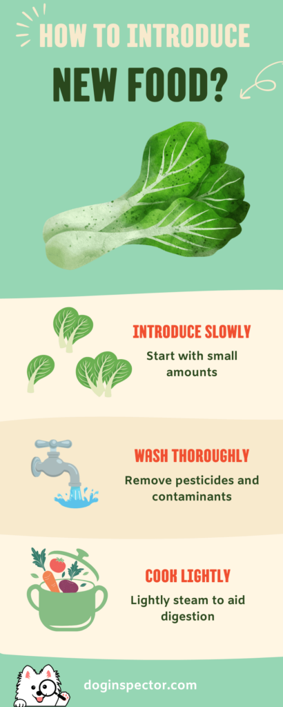 bok choy how to introduce new food Infographic