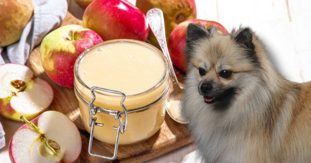 applesauce in a jar and cut apples and a dog