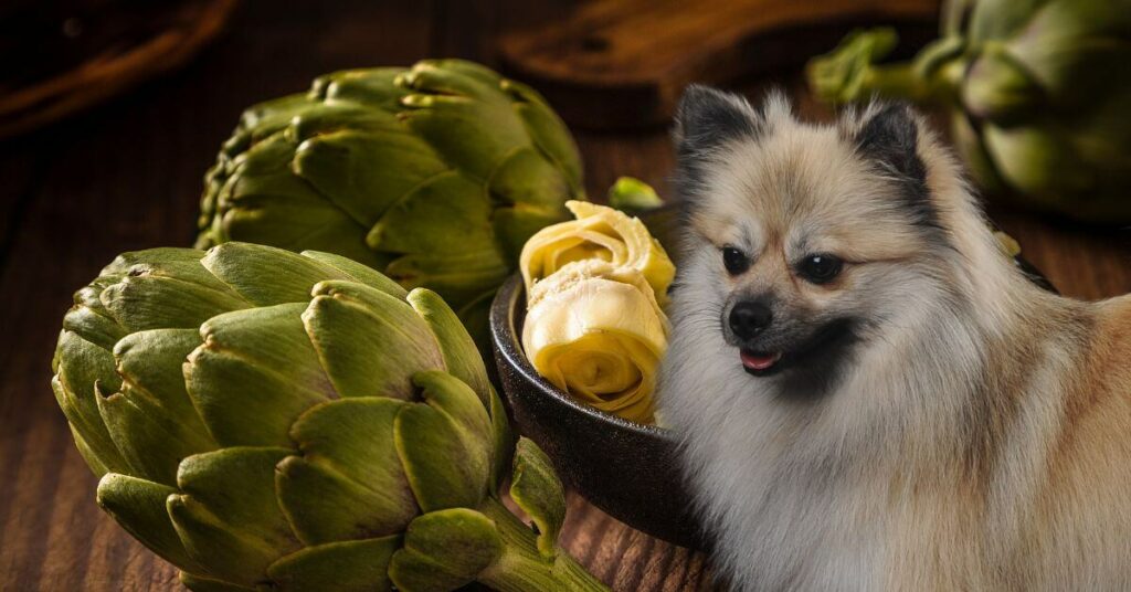 two artichokes and a dog