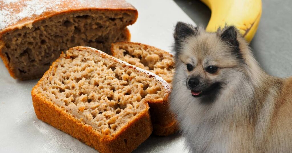 sliced banana bread and a dog