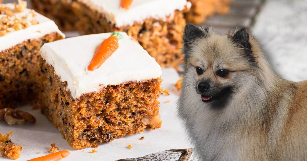 a slice of carrot cake and a dog