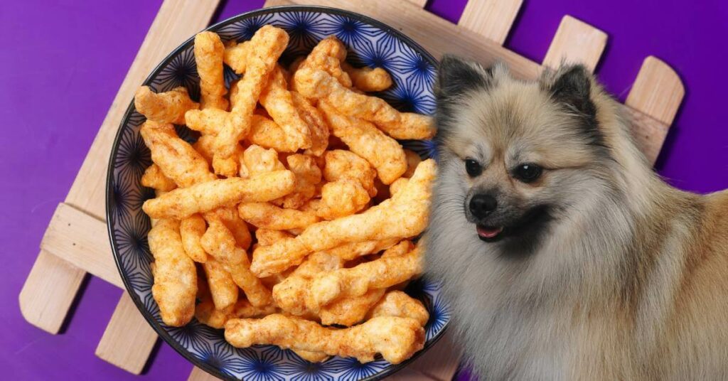 cheetos in a bowl and a dog