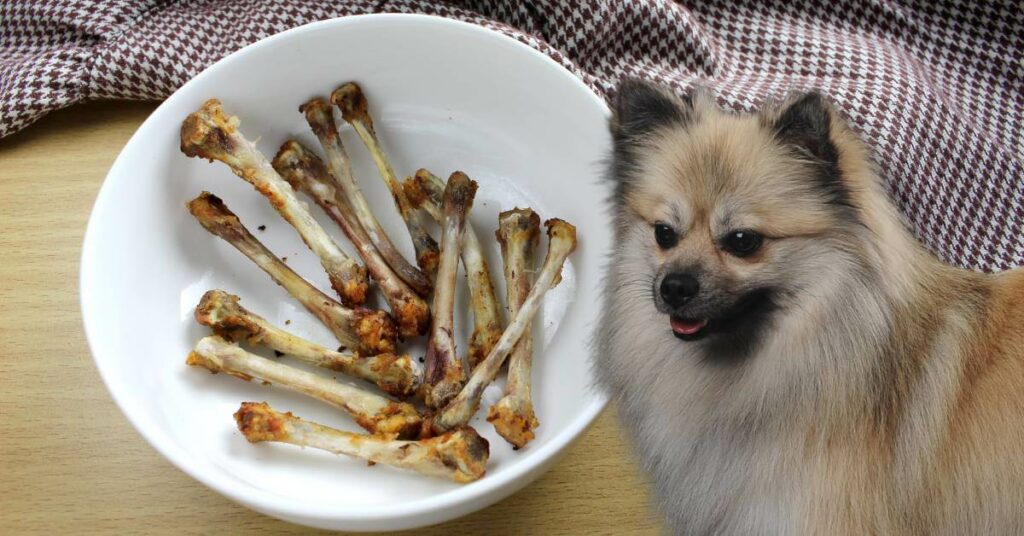 cooked chicken bones in a white bowl and a dog