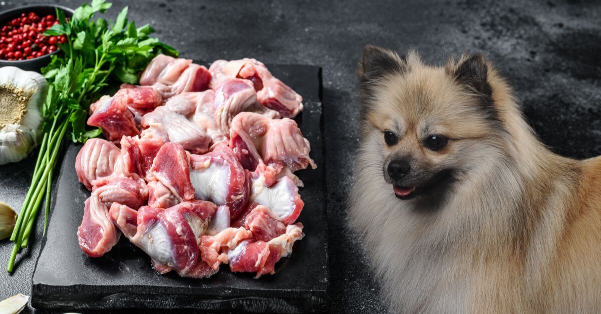 raw chicken gizzards on a black board with spices and herbs and a dog