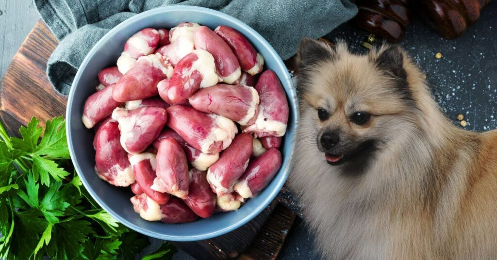 raw chicken hearts in a bowl and a dog