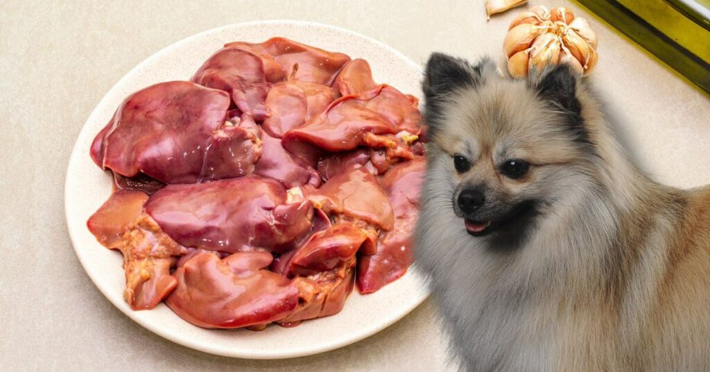 raw chicken liver in a plate and a dog