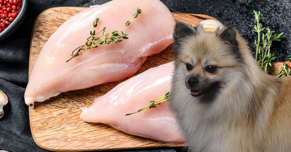 raw chicken meat on a wooden board and a dog