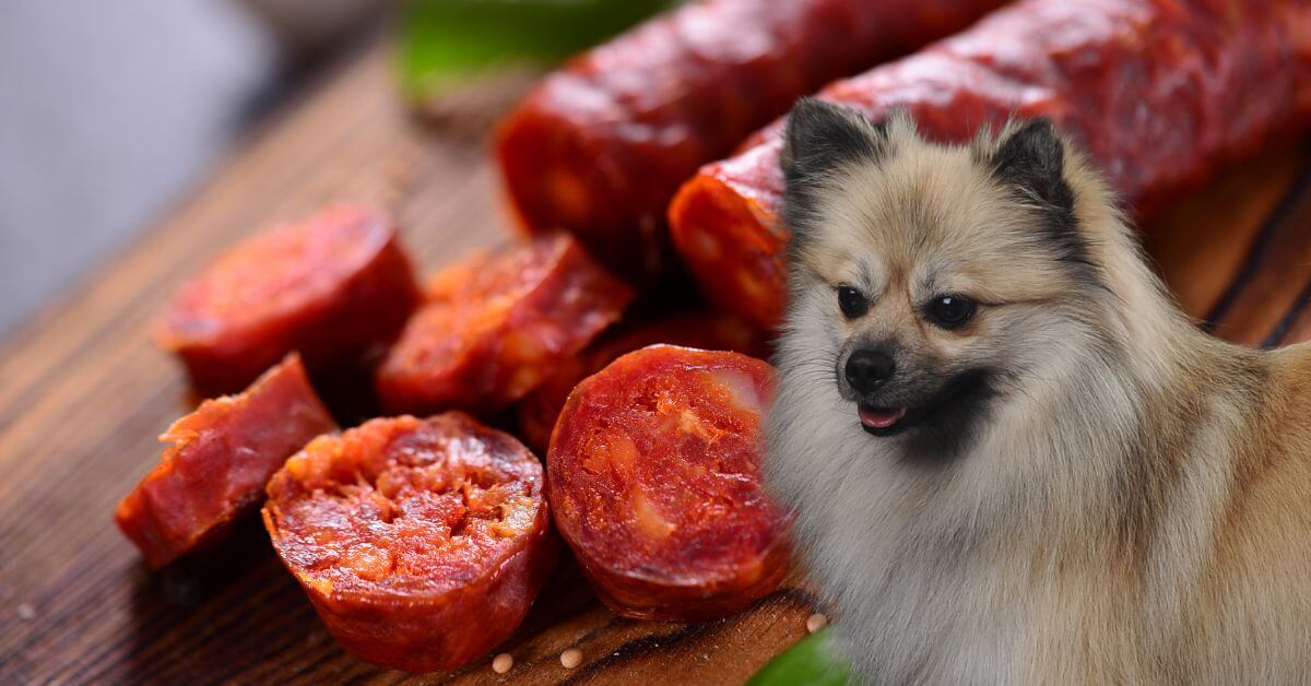 dog looking to eat sliced chorizo on a wooden plate