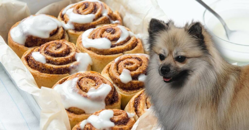 cinnamon rolls with icing a dog