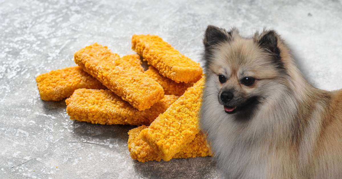 fish sticks and a dog