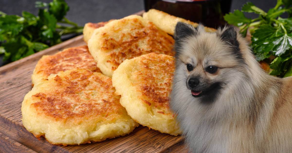 dog and hash browns on a plate