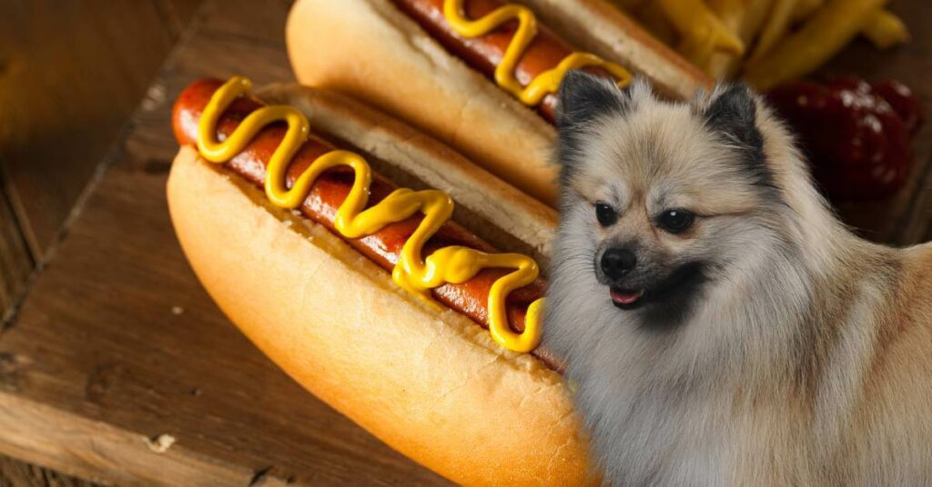 hot dog in a bun with mustard and a gray dog