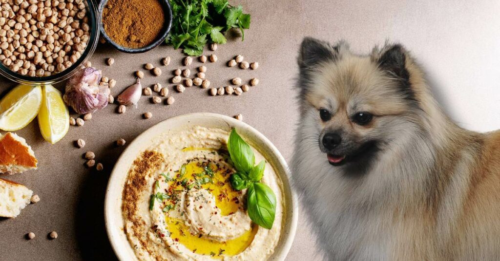 bowl of hummus with spices and garlic and dog that can’t eat it