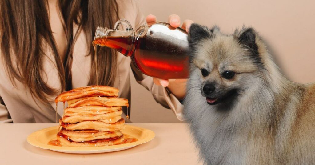 woman pouring maple syrup over pancakes and dog watching