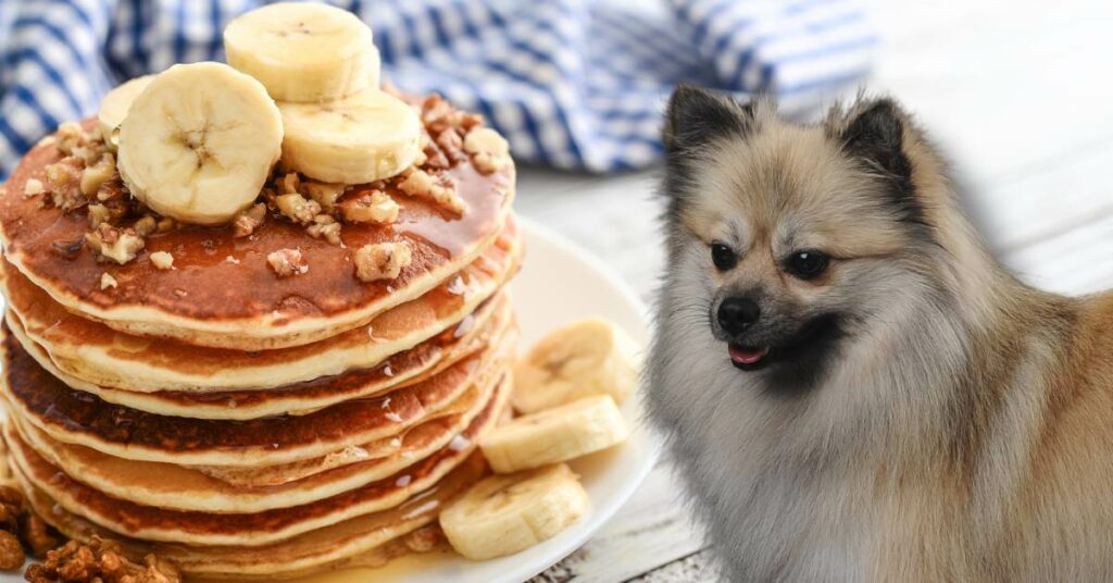 pancakes with maple syrup, banana and crunchy walnuts and a dog