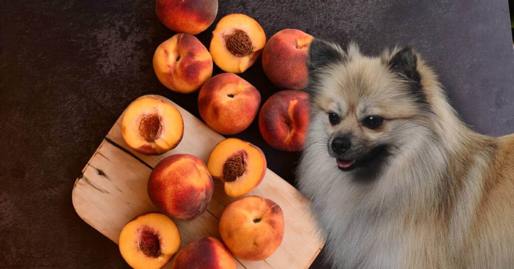 peaches cut in half and a dog