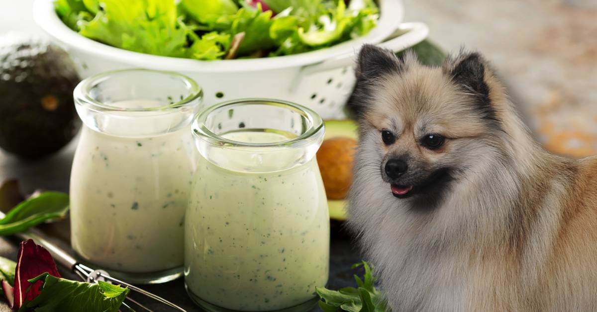 ranch dressing, salad bowl and a dog