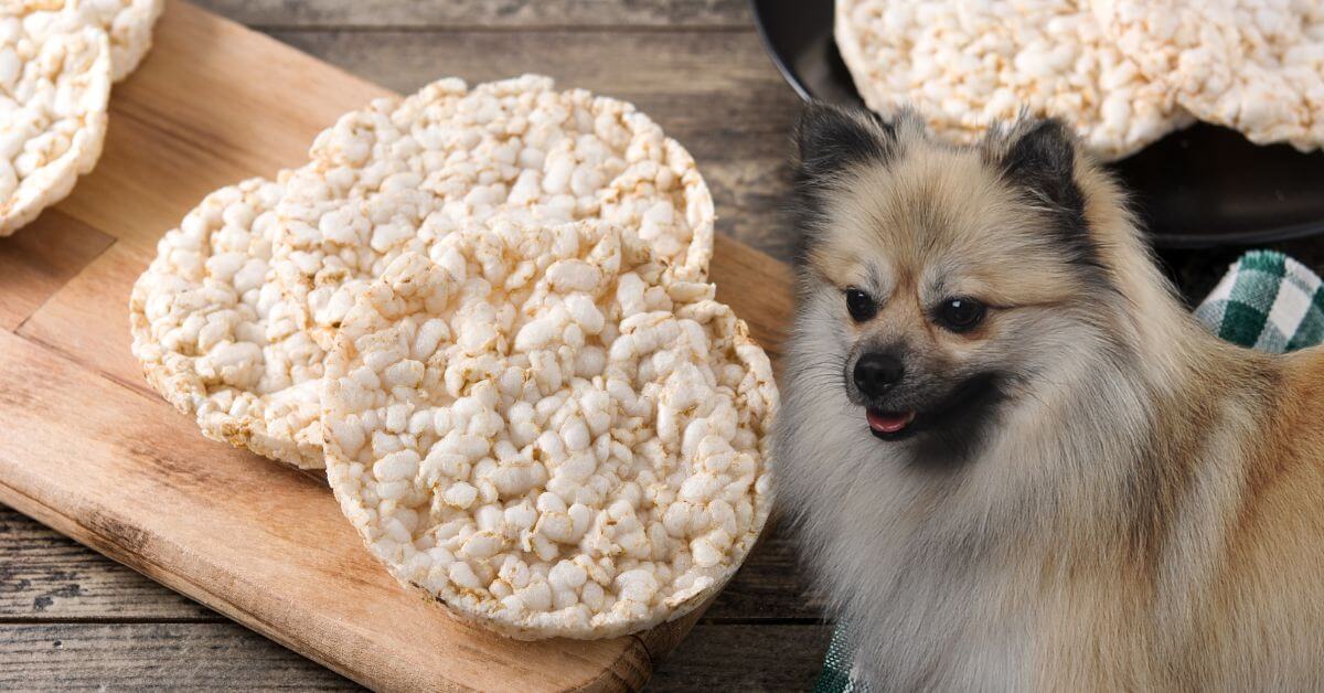 rice cakes on a wooden board and a dog