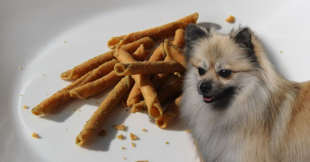 takis on a plate and a dog