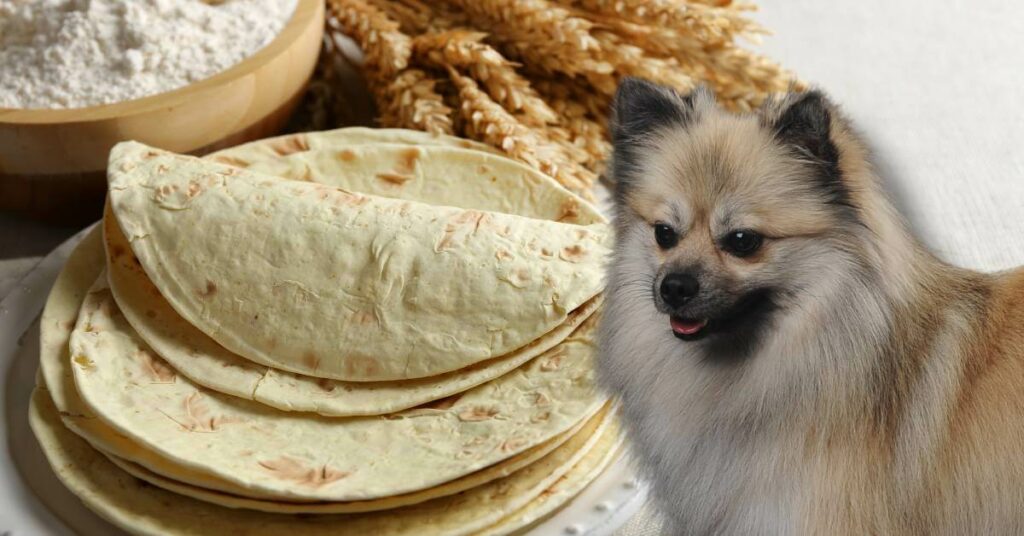 tortillas, flour and what and a dog