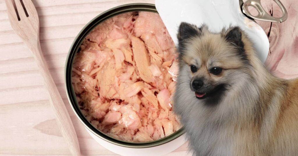 dog and tuna in a can and wooden fork