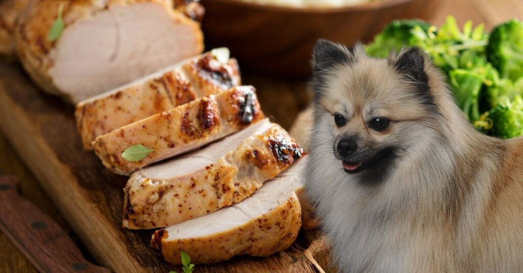 dog looking at sliced roasted turkey breast on a wooden board