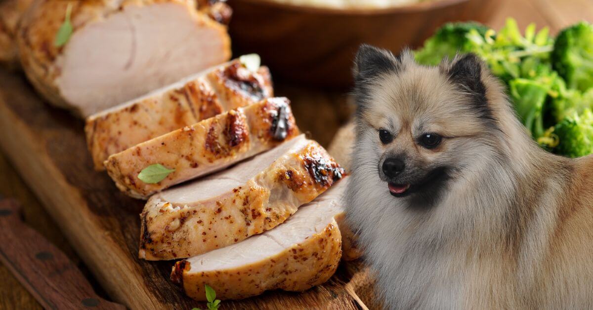 dog looking at sliced roasted turkey breast on a wooden board