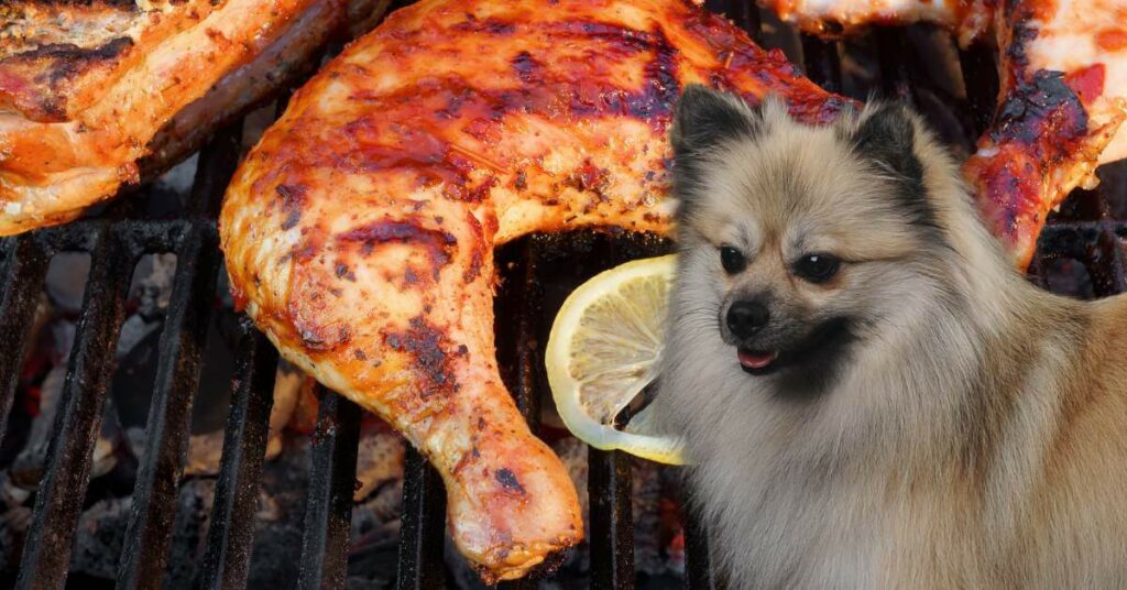 dog looking at grilled turkey leg